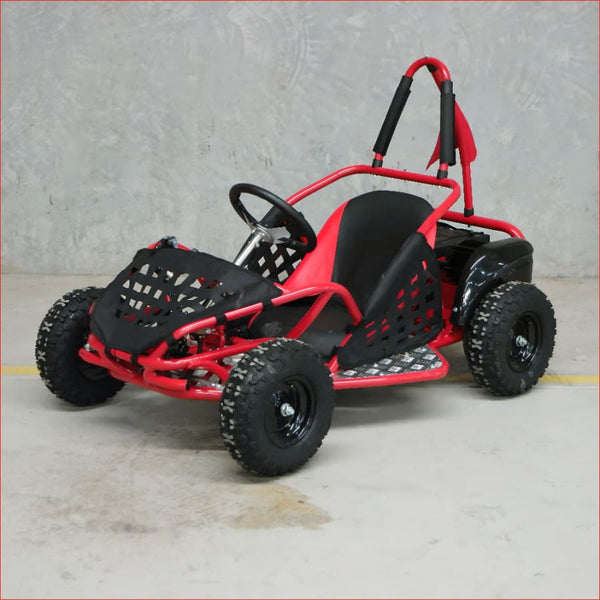 GK80SE Electric Mini Go Kart 1000W Buggy for Kids (Max 80kg