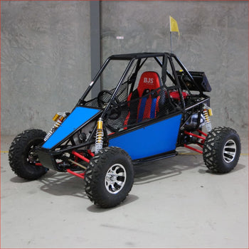 300RS SOLO - Buggy Buggies Main Vehicles