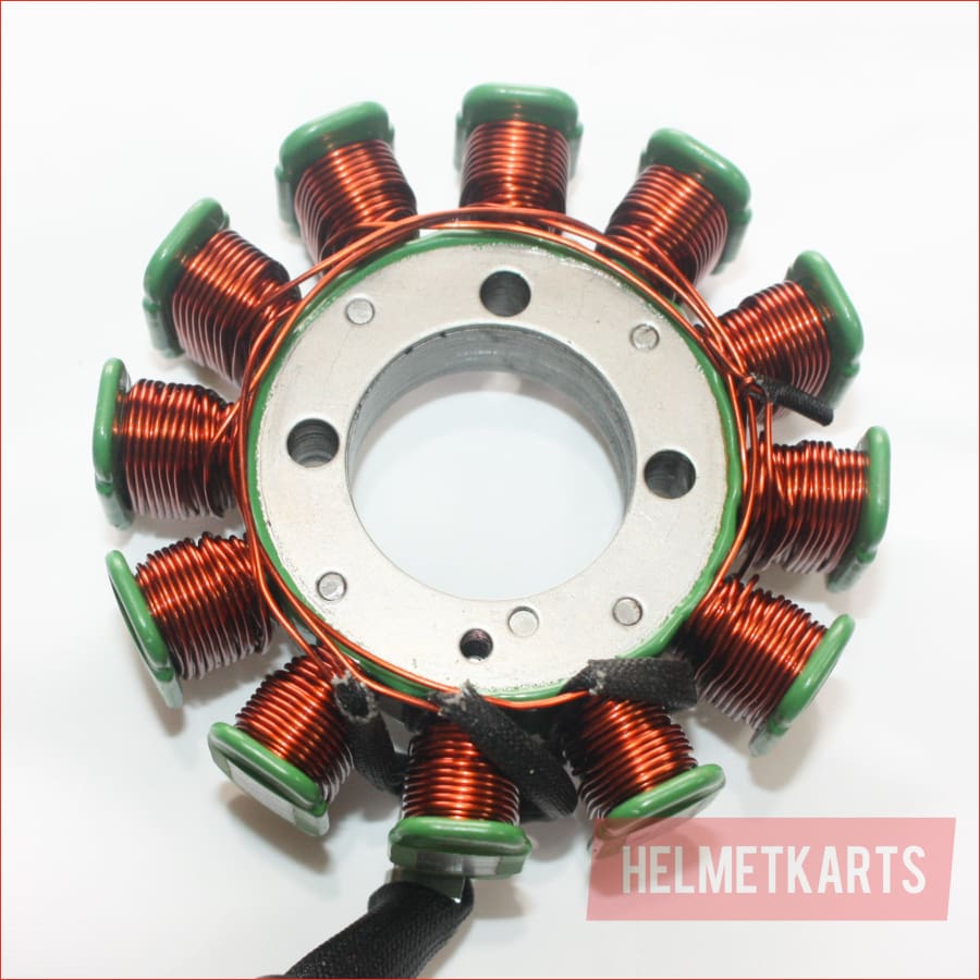 12 Pole Magneto Flywheel Stator Plate 200cc 250cc PIT Quad Dirt Bike ATV Buggy Blygo