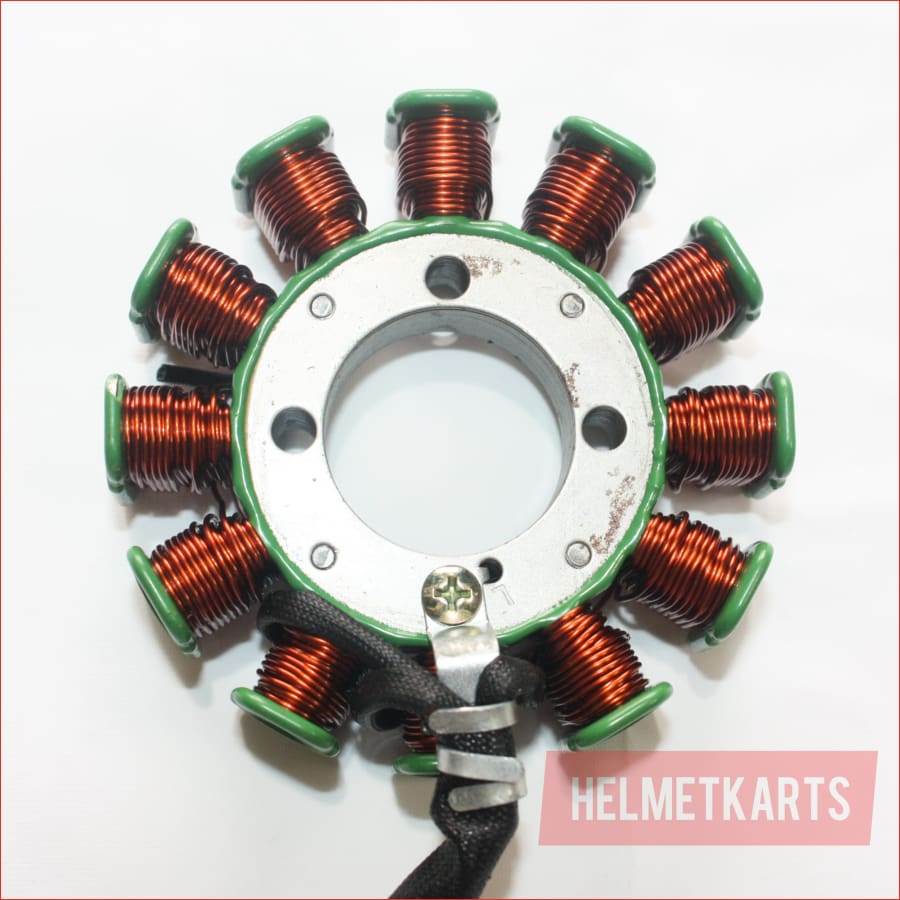 12 Pole Magneto Flywheel Stator Plate 200cc 250cc PIT Quad Dirt Bike ATV Buggy Blygo