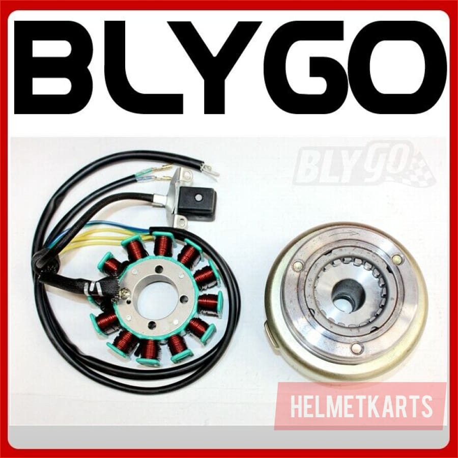 12 Pole Magneto Stator Roller Flywheel 200cc 250cc Engine PIT Quad Dirt Bike ATV Blygo