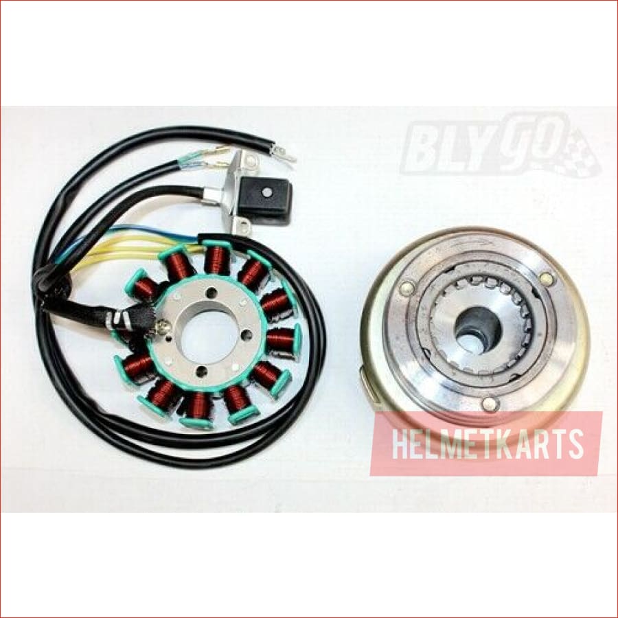 12 Pole Magneto Stator Roller Flywheel 200cc 250cc Engine PIT Quad Dirt Bike ATV Blygo