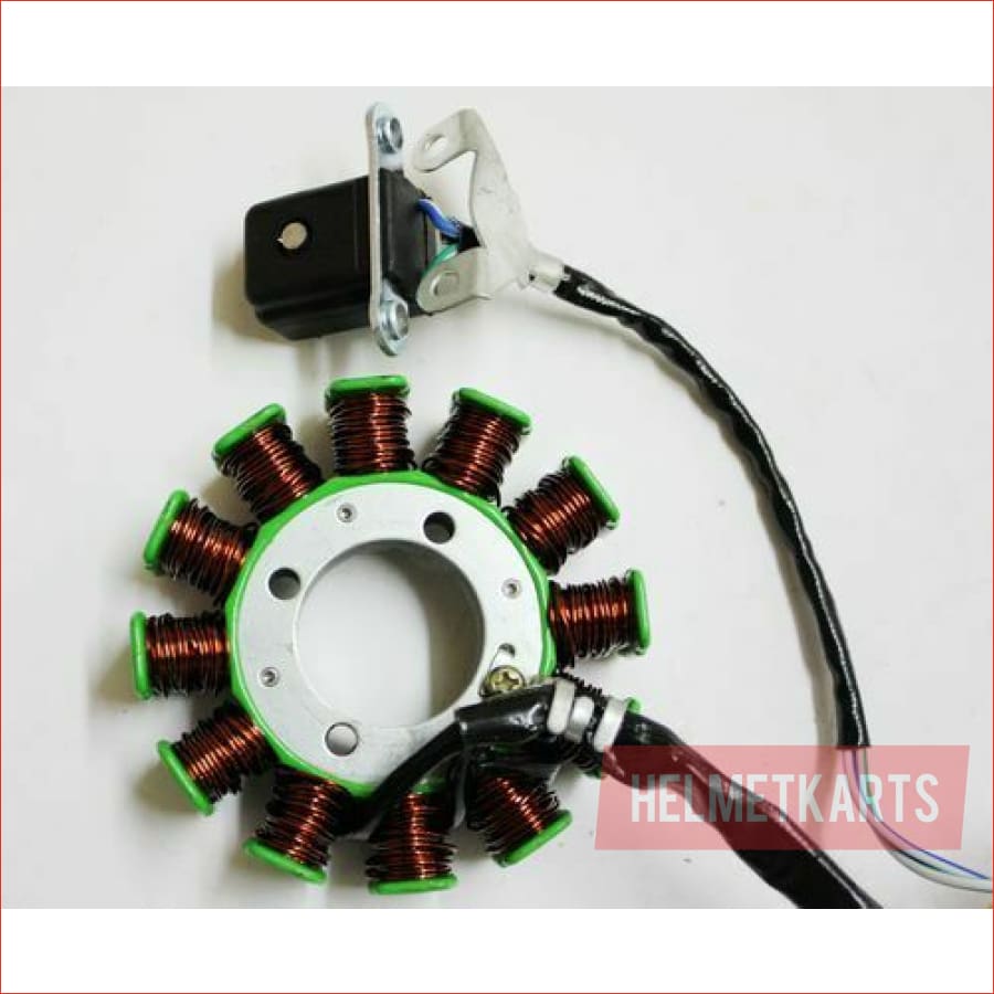 12 Pole Magneto Stator Roller Flywheel 200cc 250cc Engine PIT Quad Dirt Bike ATV Blygo