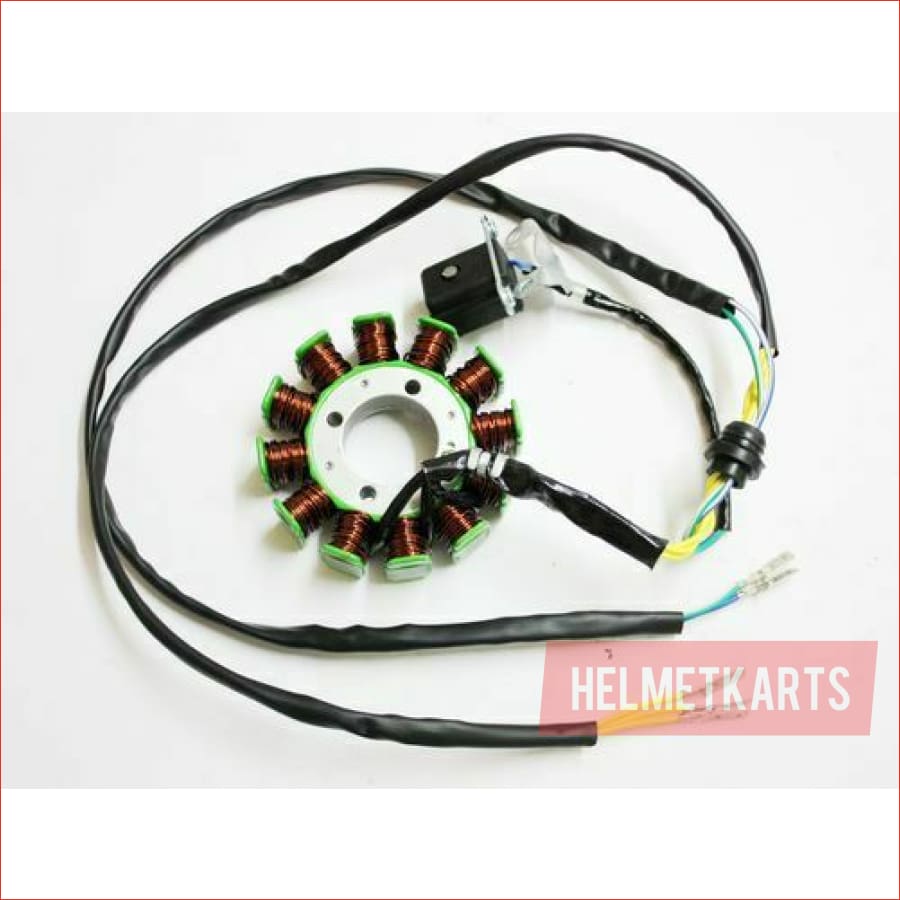 12 Pole Magneto Stator Roller Flywheel 200cc 250cc Engine PIT Quad Dirt Bike ATV Blygo