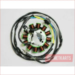 12 Pole Magneto Stator Roller Flywheel 200cc 250cc Engine PIT Quad Dirt Bike ATV Blygo