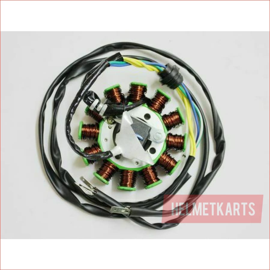 12 Pole Magneto Stator Roller Flywheel 200cc 250cc Engine PIT Quad Dirt Bike ATV Blygo