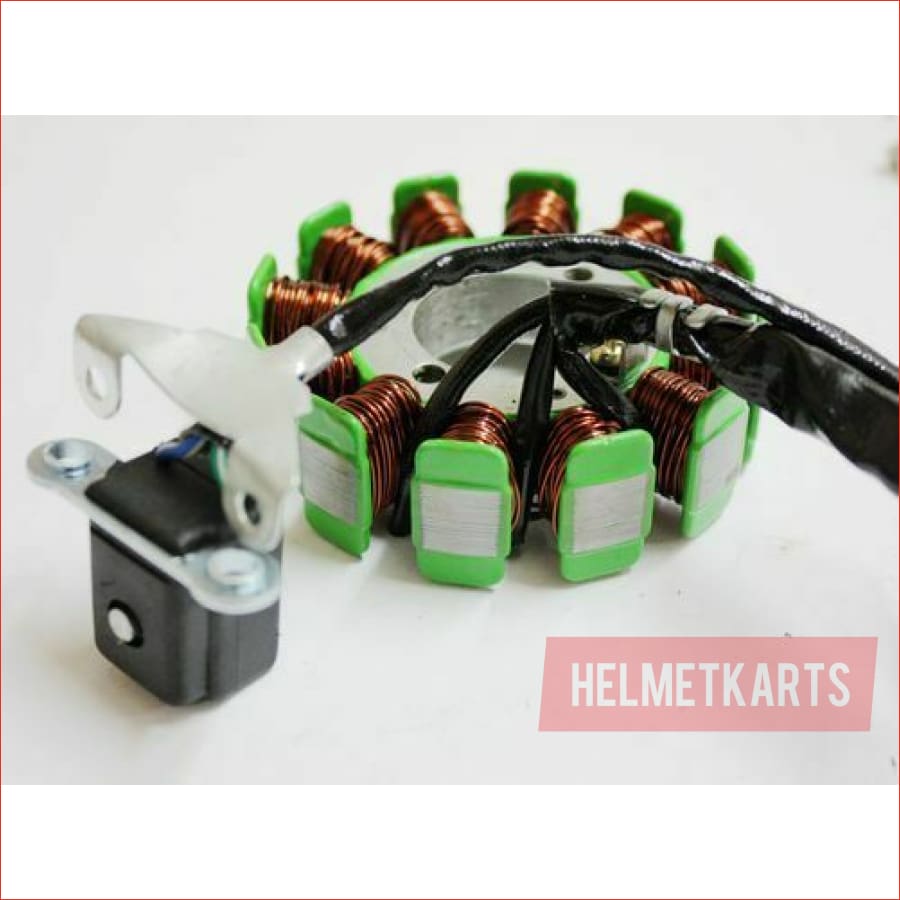 12 Pole Magneto Stator Roller Flywheel 200cc 250cc Engine PIT Quad Dirt Bike ATV Blygo