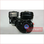 200cc Stationary Engine - 6.5HP - Helmetkarts