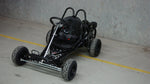 FB-200SE - Go kart