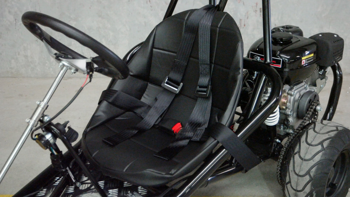 FB-200SE - Go kart