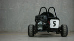 FB-200SE - Go kart