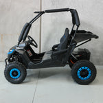 ZX-K1SE - FORZA - Electric UTV Buggy