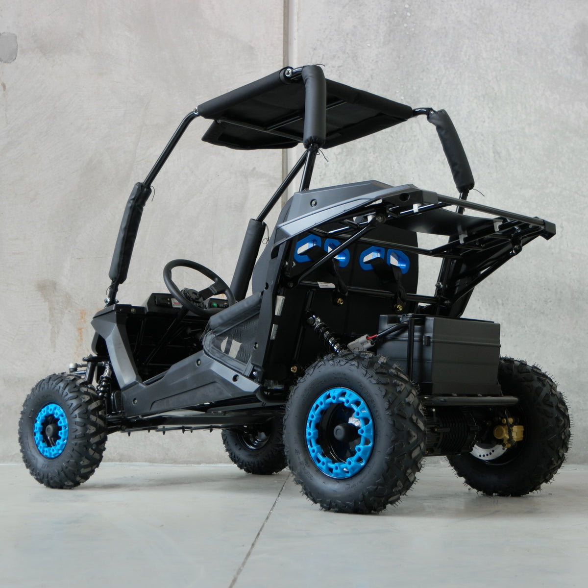 ZX-K1SE - FORZA - Electric UTV Buggy