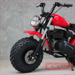 XB200 Roadster Classic - Mini Bike Bikes Main Vehicles