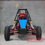 300RS SOLO - Buggy Buggies Main Vehicles